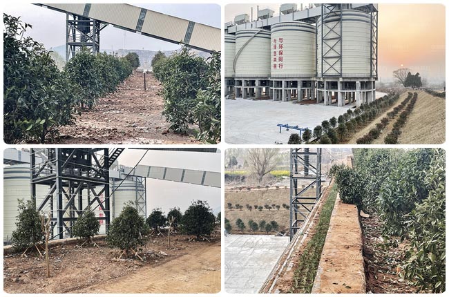 ���u�����h��ɰʯ�����Ŀ