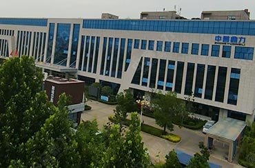 ���u�����S�^����ҕ�l