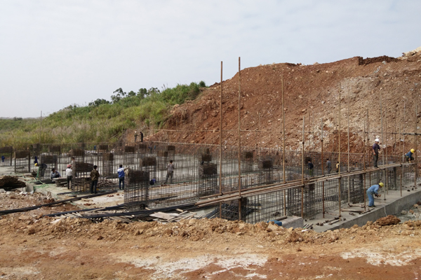 �����Ž�300�f�����a��