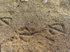 河砂如何形成的?與機制砂機有什么區別? 河砂如何形成的?與機制砂機有什么區別?