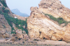 �L���r����ɰ�᣿����ʡס���d�o��֪ͨ����ֹʹ���L���r�C��ɰ