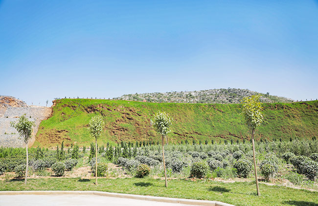 �C��ɰ���a���h��Ҫ��