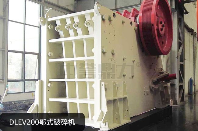 DLEV200��ʽ����C